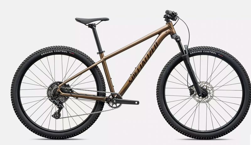 ROCKHOPPER SPORT BNTGLDMET/STLNMET L - 29