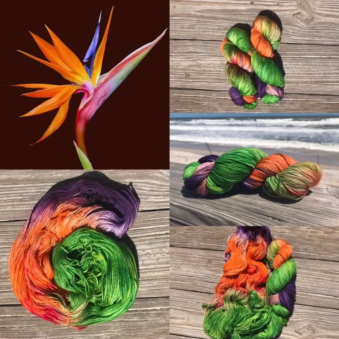 Violet Flamingo - Dove Sock, Color: Bird of Paradise
