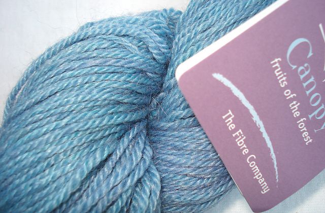 Fibre Company - Canopy Fingering, Color: Blue Quandons