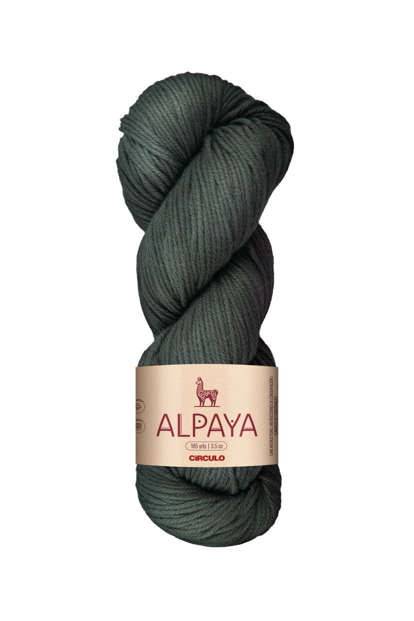 Circulo - Alpaya, Color: Storm-8899, Size: 100 g