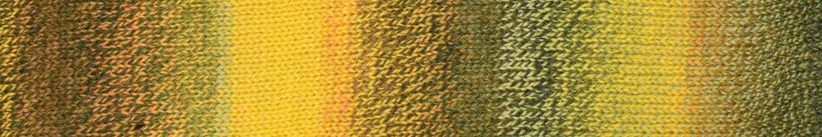 Ella Rae - Color Magic, Color: 501 - Sweet November, Size: 100 g