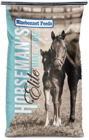 Horsemans Elite Mare & Foal