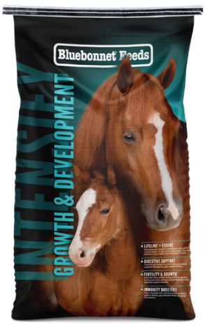 Intensify Growth & Development