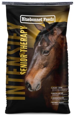 Intensify Senior Therapy