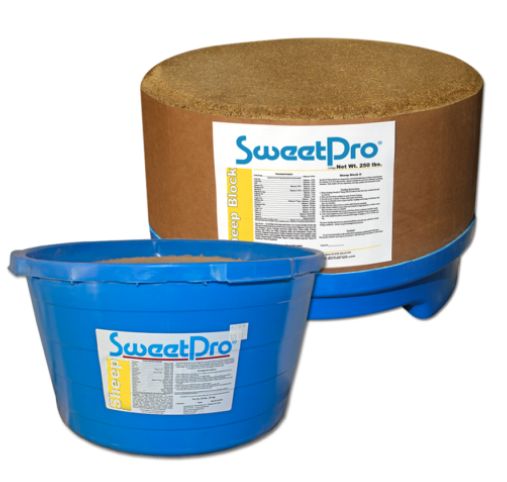 Sheep Block II 125lb