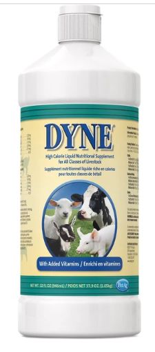 Dyne Hi Cal Liquid Livestock 32oz