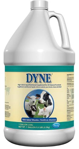 Dyne Hi Cal Liquid Livestock 1gal