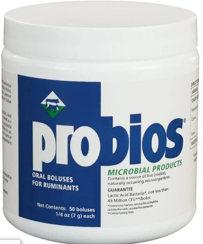 Probios Plus Bolus 50ct