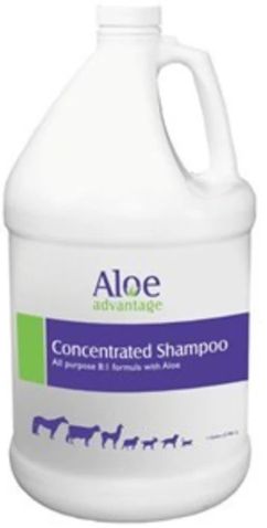 Aloe Concentrated Shampoo 1gal