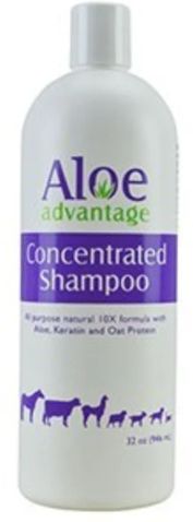 Aloe Concentrated Shampoo 32oz