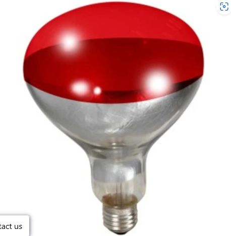 Heat Bulb Red 250W