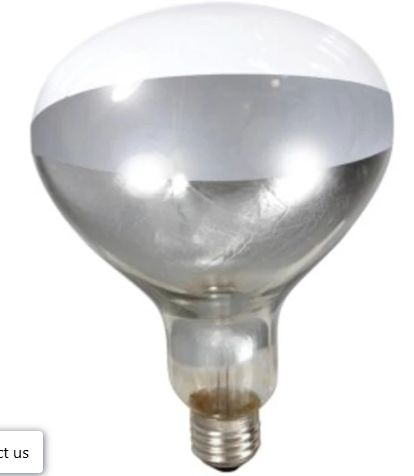 Heat Lamp Bulb Clear 250W