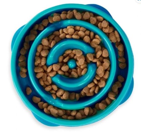 Fun Feeder Teal Mini