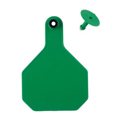 #4 Blank Green Y-Tex Tag
