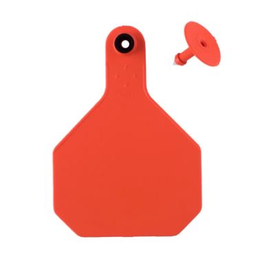 #4 Blank Orange Y-Tex Tag