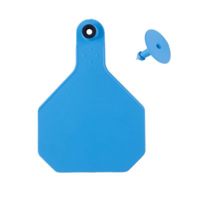 #4 Blank Blue Y-Tex Tag