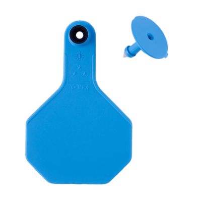 #3 Blank Blue Y-Tex Tag