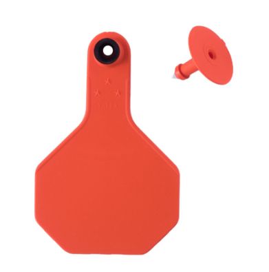 #3 Blank Orange Y-Tex Tag