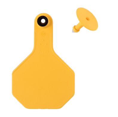 #3 Blank Yellow Y-Tex Tag