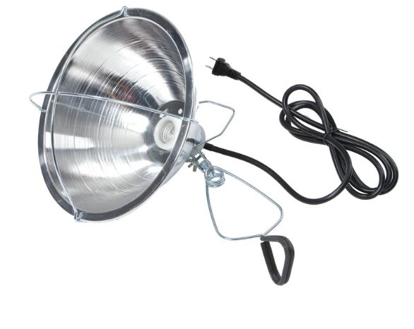 Brooder Lamp W\Cord 6'