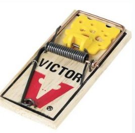 EZ Set Mouse Trap 2pk