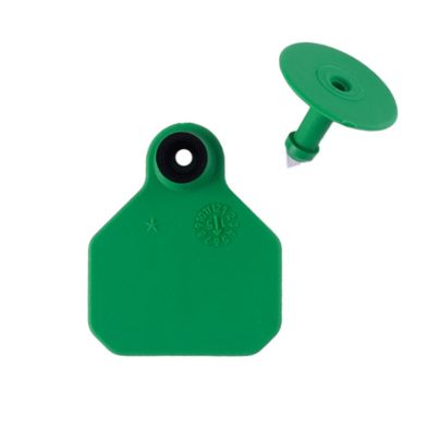 #1 Blank Green Y-Tex