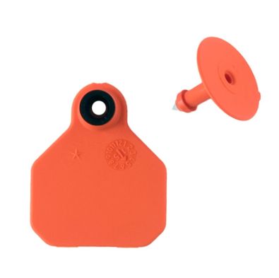 #1 Blank Orange Y-Tex