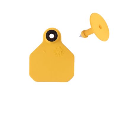 #1 Blank Yellow Y-Tex