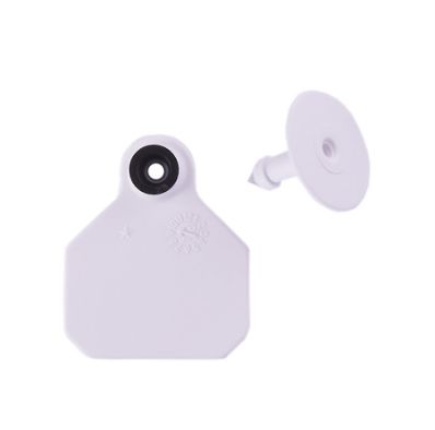 #1 Blank White Y-Tex