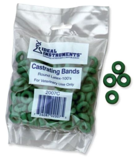 Castrating Latex Bands 100pk