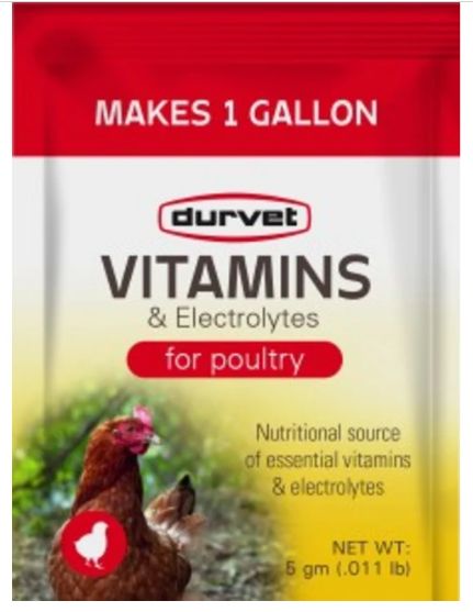 Vitamin & Electrolyte Single Serve