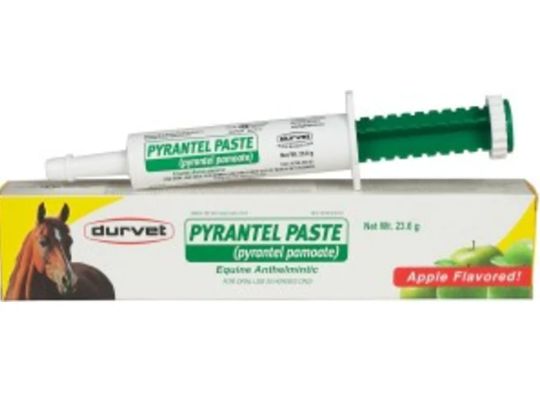 Pyrantel Paste