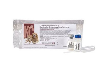 Solo Jec Kennel Cough