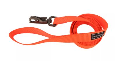 Leash Safety Orange 6ft