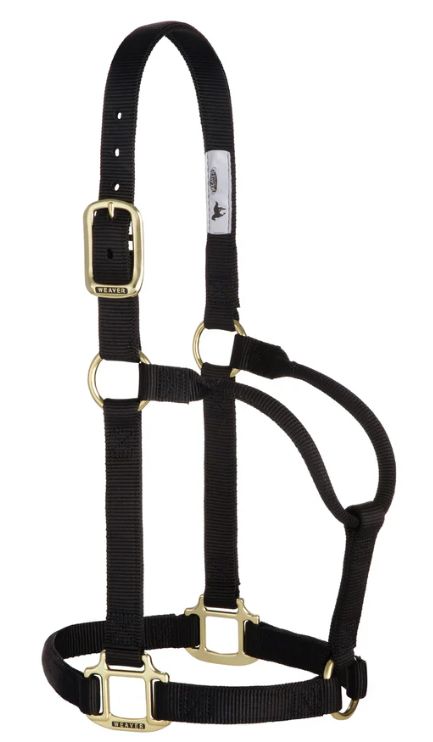 Average Non Adjustable Halter Black