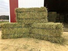 Grass/Alfalfa hay mix 70/30