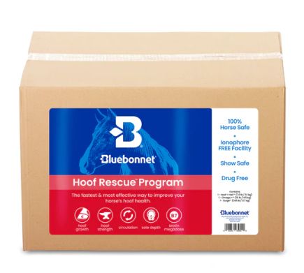Hoof Health Program
