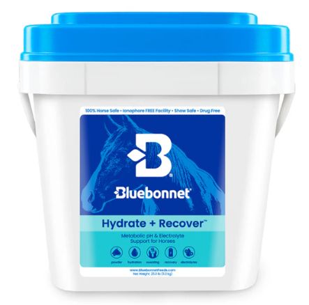 Hydrate + Recover (Turbo Mag BCAA) 25lb