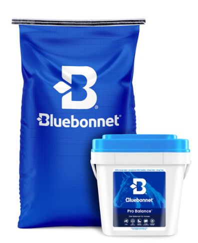 Pro Balance 44lb Bag