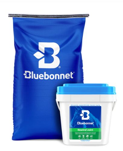 Rewind 44lb Rewind 44lb