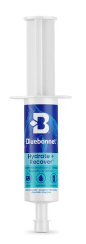 Travel Paste (Hydrate + Recover Now)