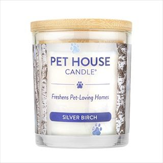 PH Silver Birch Candle