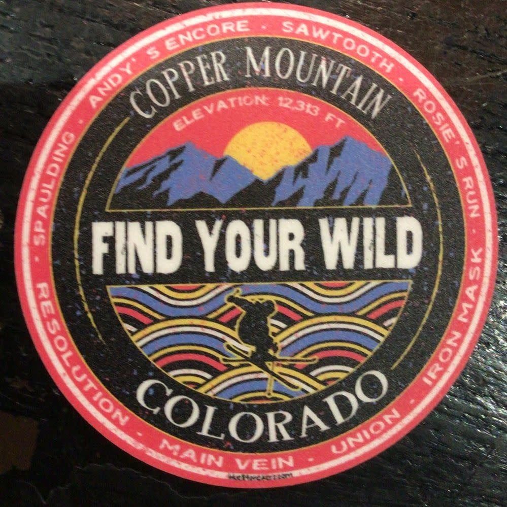 Brainchild Mtns Skier Sticker