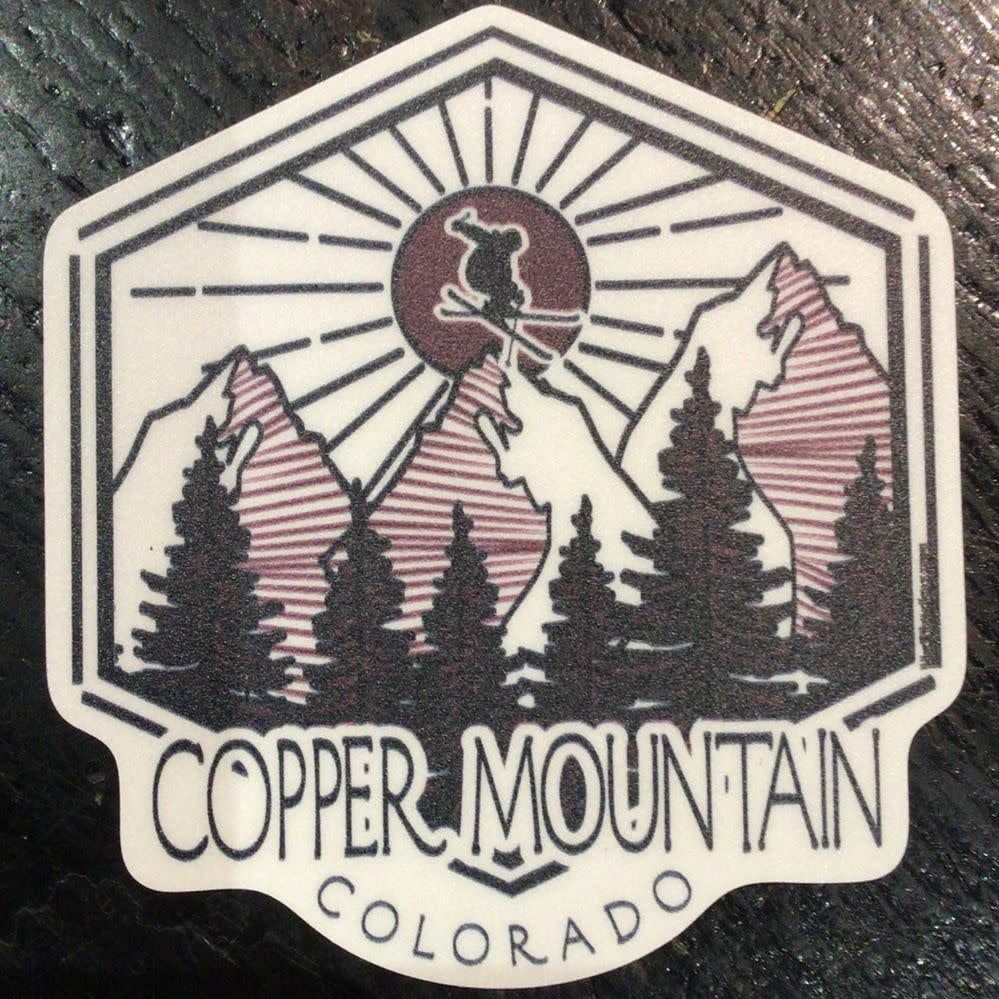 Reality Check Mtn Ski Sticker