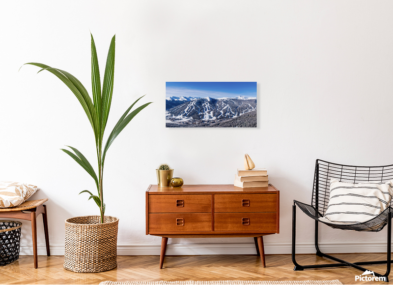 Aerial Pano Canvas Print 30 x 15