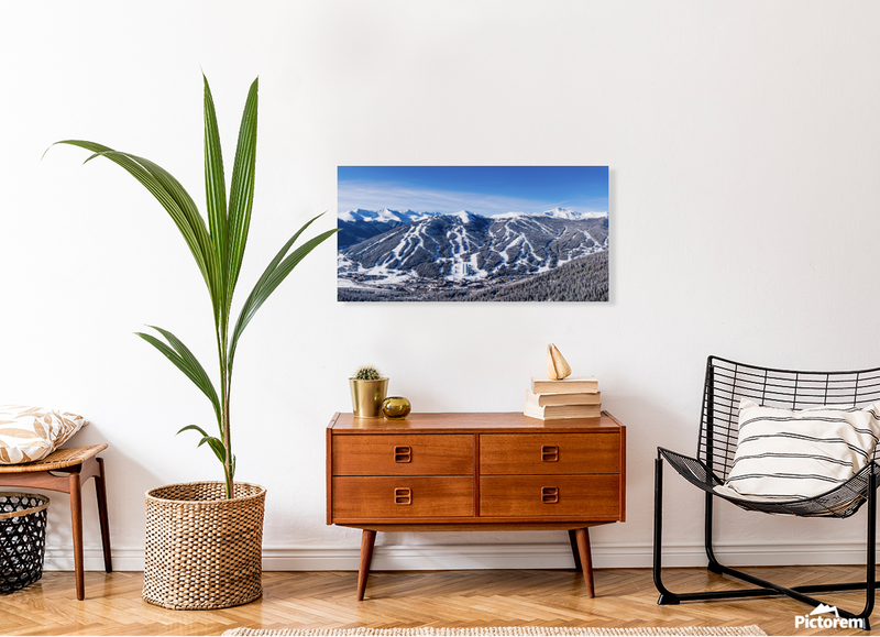 Aerial Pano Canvas Print 40 x 20