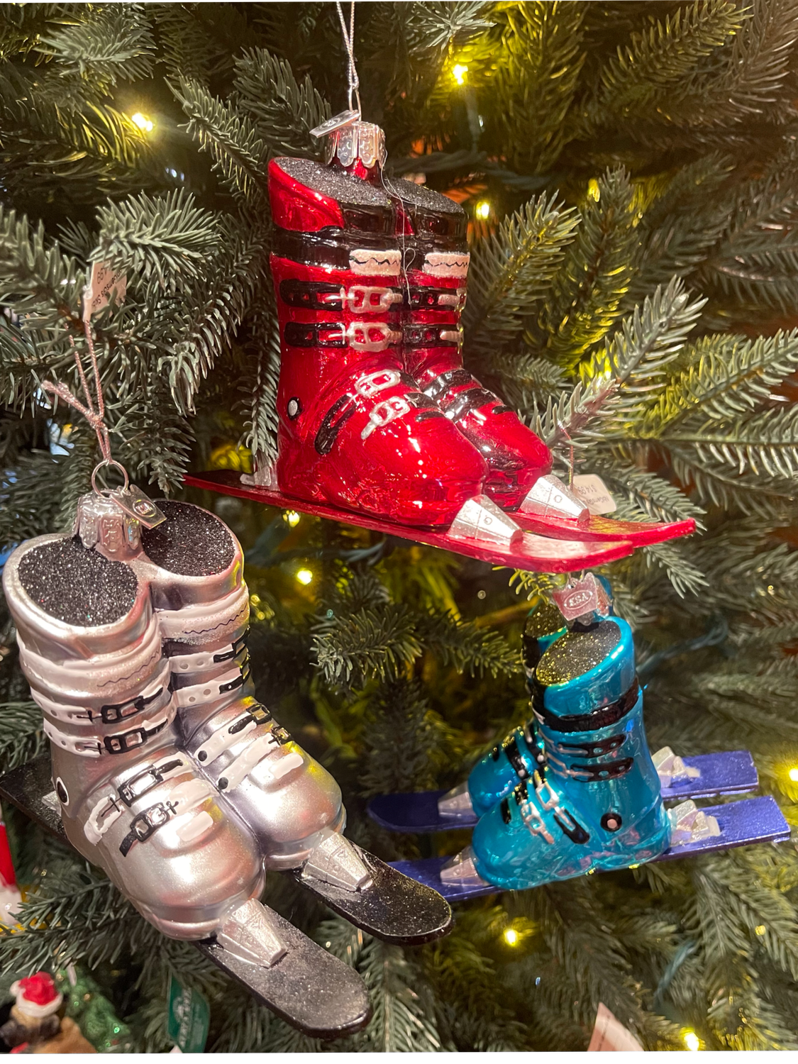 Noble Gems Glass Ski Boots