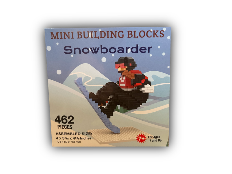 Snowboarder Mini Building Blocks