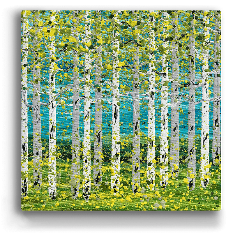 Summer Aspens Box Art 18 x 18