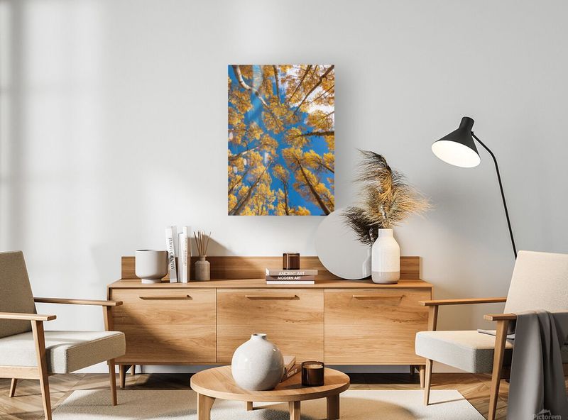 Yellow Aspens Acrylic